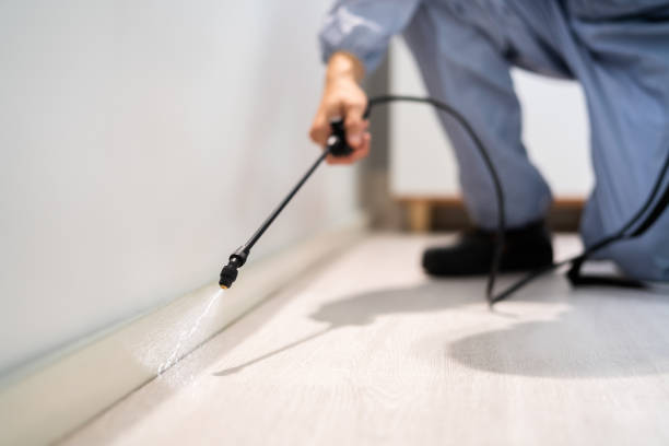 Licensed Termite Control service in Clarksburg, MD - Nex Pest Control