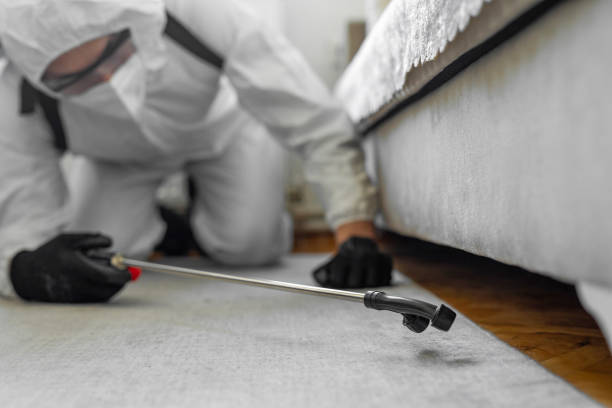 Professional Termite Control technician working in Clarksburg, MD