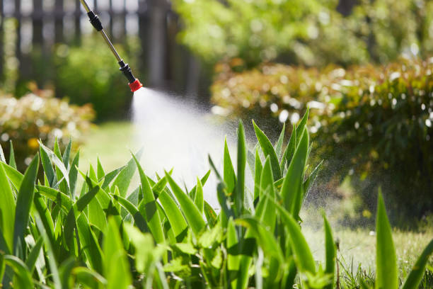 24/7 Emergency Termite Control experts in Clarksburg, MD