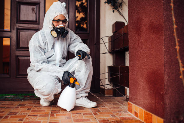 Reliable Termite Control contractor in Clarksburg, MD by Nex Pest Control