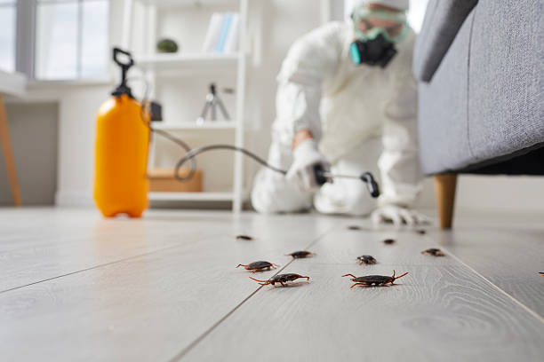 Affordable Termite Control solutions in Clarksburg, MD